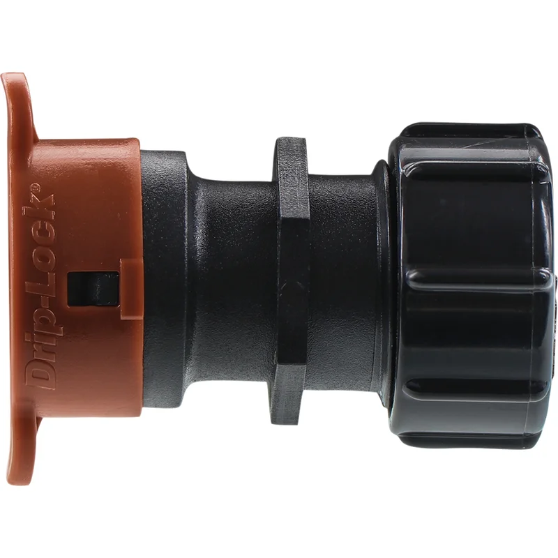 bigfrogsupply1454187