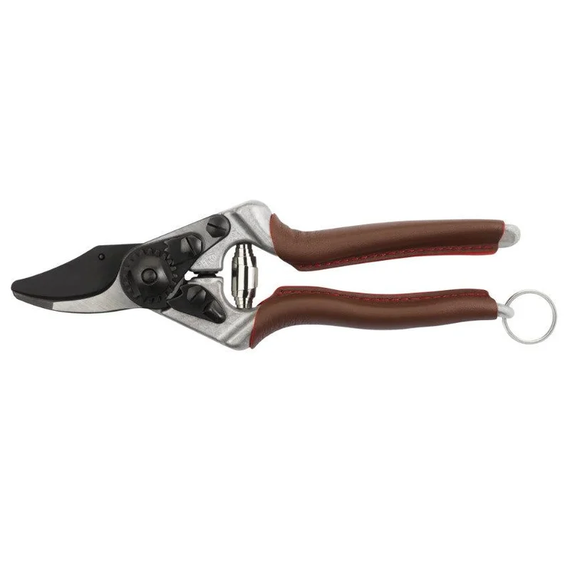 bigfrogsupply1475618