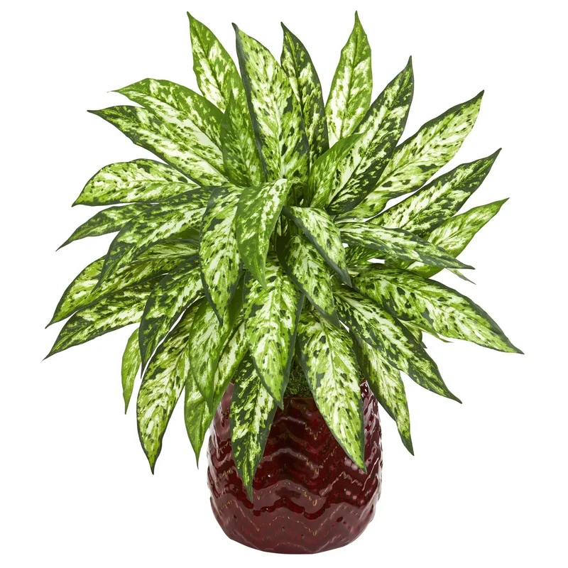 gobekusa101599510