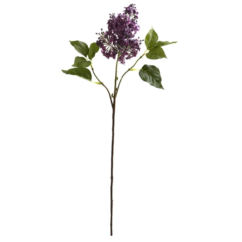 gobekusa101826653