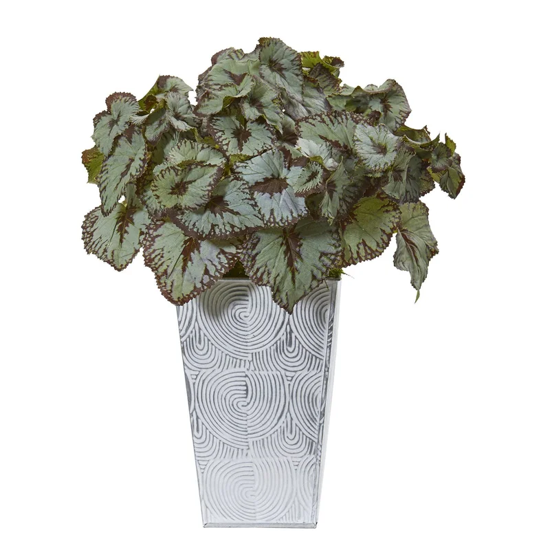 gobekusa111568085
