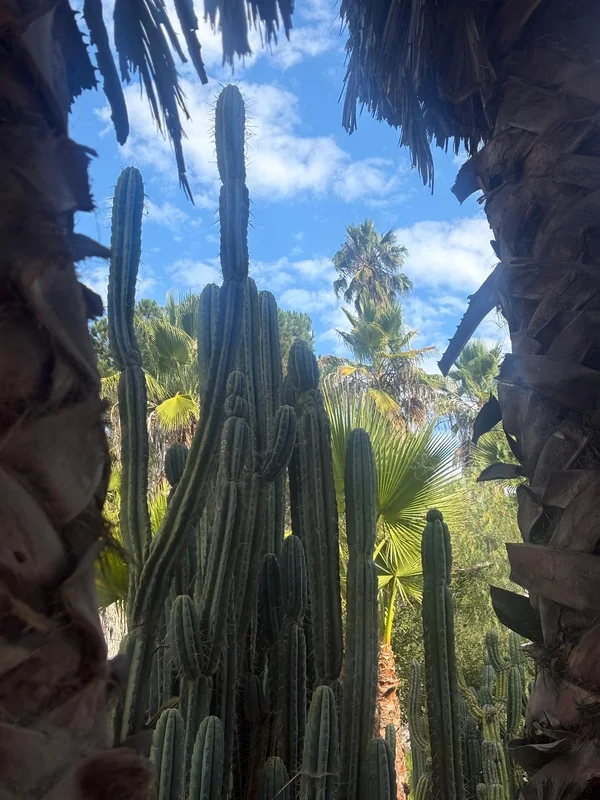 gobekusa91585283