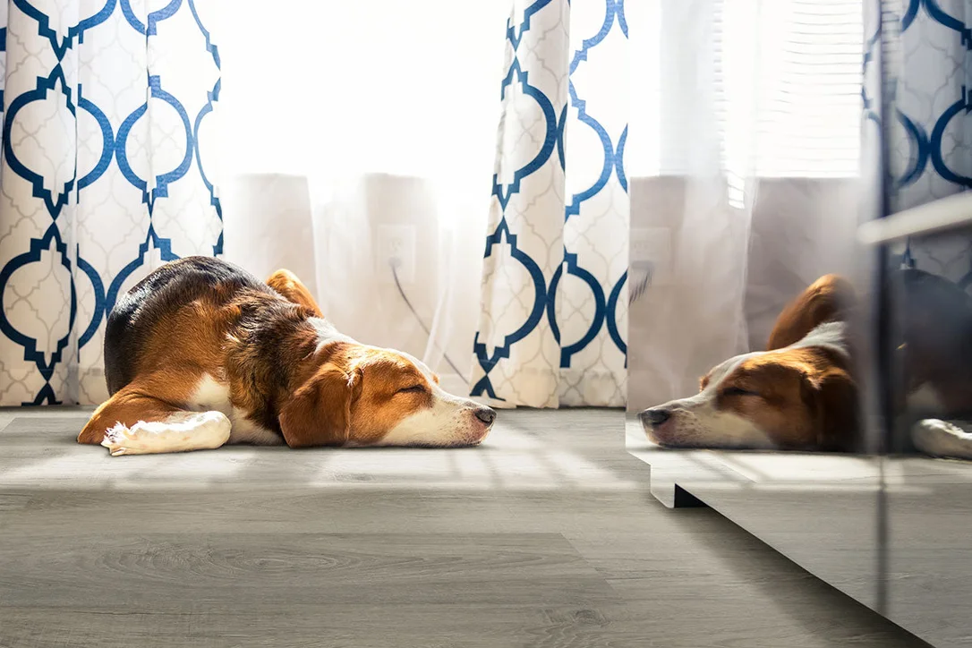 lafloorcoverings1450692