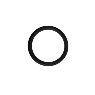 nyrpcorp1-1706749