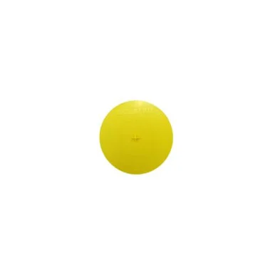 nyrpcorp1-1717619