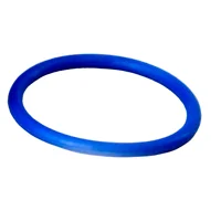 nyrpcorp1-1732071