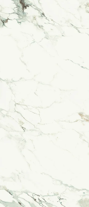 surfacegroup21540700